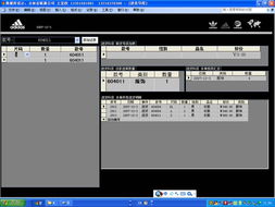 Access軟件開發的魅力與價值